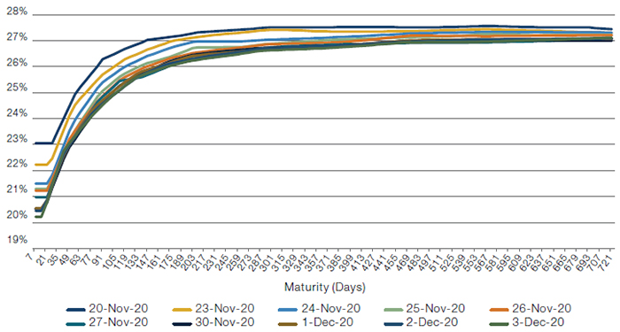 S&P 500 Index Variance Swap Term Structure